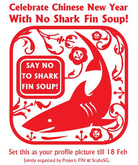 Protect Sharks